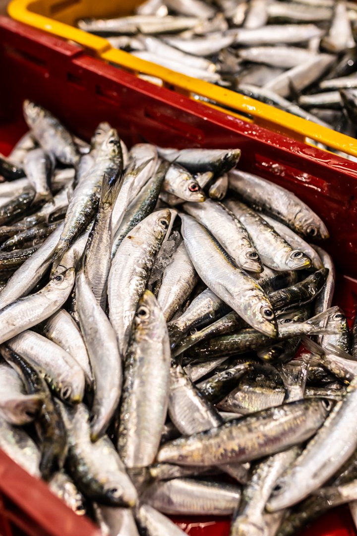 Fresh Seafood